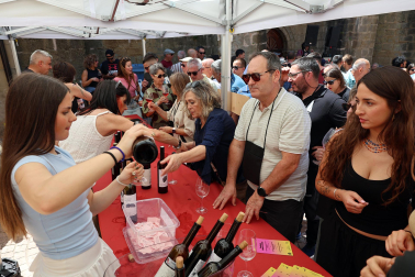 Fotos del Día del Rosado en San Martín de Unx