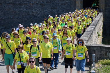 Fotos de la XII Marcha Contra el Cáncer en Pamplona