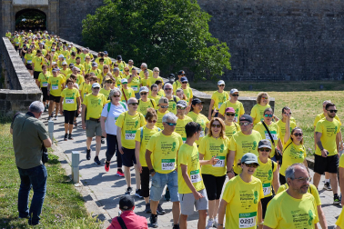 Fotos de la XII Marcha Contra el Cáncer en Pamplona