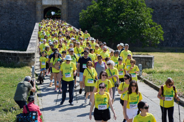 Fotos de la XII Marcha Contra el Cáncer en Pamplona