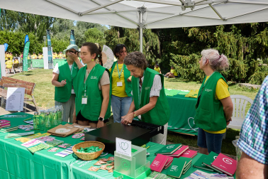 Fotos de la XII Marcha Contra el Cáncer en Pamplona