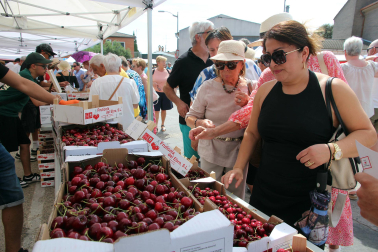 Puestos, actividades y ambiente en Milagro este domingo, 14 de junio, con motivo de la 25 Fiesta de la Cereza