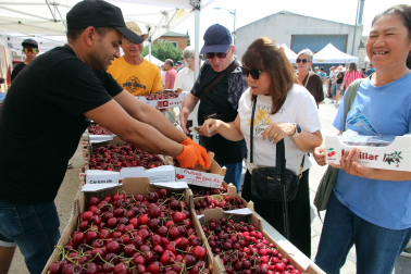 Puestos, actividades y ambiente en Milagro este domingo, 14 de junio, con motivo de la 25 Fiesta de la Cereza