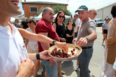 Puestos, actividades y ambiente en Milagro este domingo, 14 de junio, con motivo de la 25 Fiesta de la Cereza