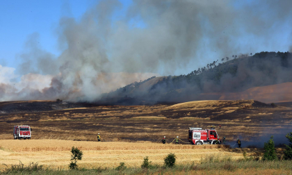 Fotos del incendio en la Cendea de Olza este lunes 15 de junio