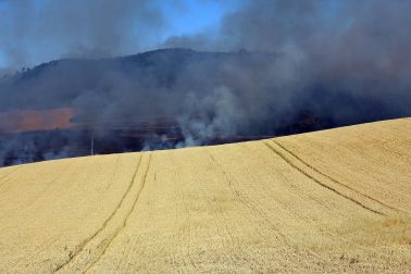 Fotos del incendio en la Cendea de Olza este lunes 15 de junio