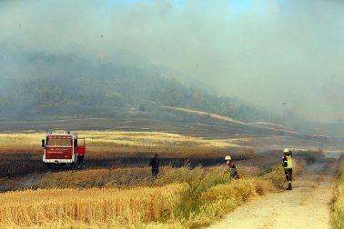 Fotos del incendio en la Cendea de Olza este lunes 15 de junio
