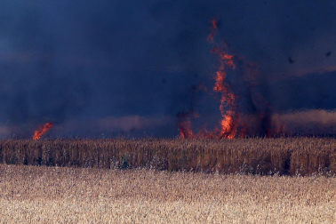 Fotos del incendio en la Cendea de Olza este lunes 15 de junio