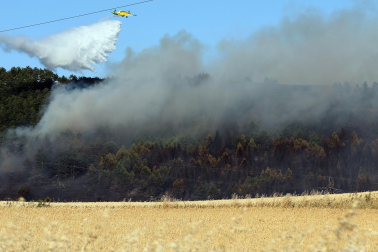 Fotos del incendio en la Cendea de Olza este lunes 15 de junio