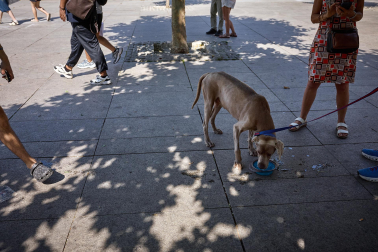 Fotos del intenso día de altas temperaturas en Pamplona