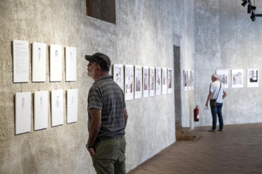 Exposiciones