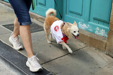 La Media San Fermín 2026