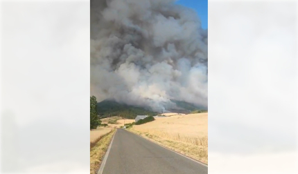 Vídeo del incendio en San Cristóbal desde Navaz
Las llamas amenazaban a la localidad este jueves, 25 de junio.