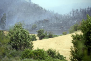 Foto del incendio al norte del monte San Cristóbal. Vista desde la localidad de Cildoz.