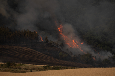 Fotos del incendio al norte del monte San Cristóbal