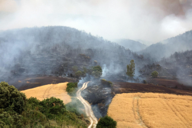 Fotos del incendio en Ezcabarte al norte del monte San Cristóbal. Vista desde Cildoz