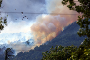 Fotos del incendio en Ezcabarte al norte del monte San Cristóbal