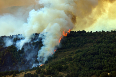 Fotos del incendio en Ezcabarte al norte del monte San Cristóbal
