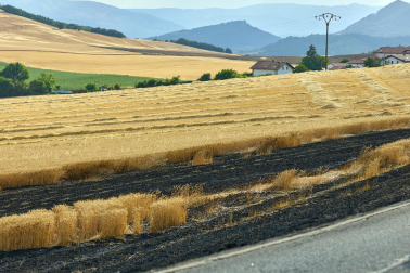 Fotos del incendio en Ezcabarte al norte del monte San Cristóbal