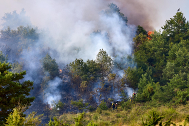 Fotos del incendio en Ezcabarte al norte del monte San Cristóbal