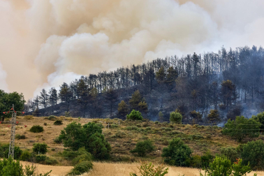 Fotos del incendio en Ezcabarte al norte del monte San Cristóbal