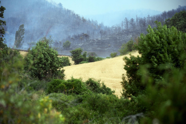 Fotos del incendio en Ezcabarte al norte del monte San Cristóbal. Vista desde Cildoz
