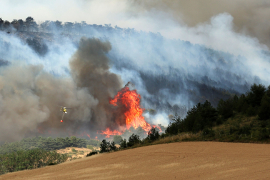 Fotos del incendio en Ezcabarte al norte del monte San Cristóbal