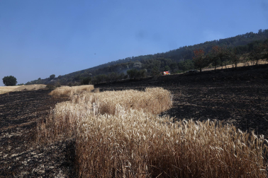 incendio en Ezcabarte