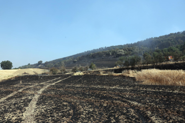 incendio en Ezcabarte