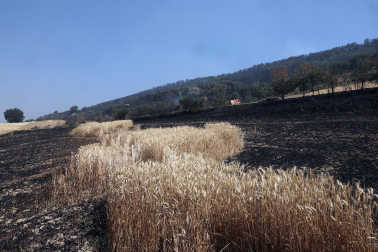 incendio en Ezcabarte
