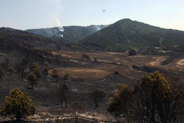 INCENDIO EZCABARTE EFE