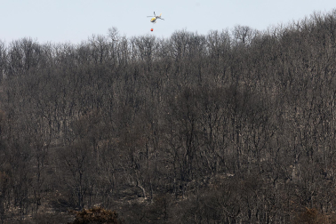 INCENDIO EZCABARTE EFE