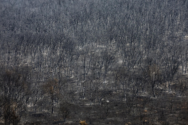 INCENDIO EZCABARTE EFE