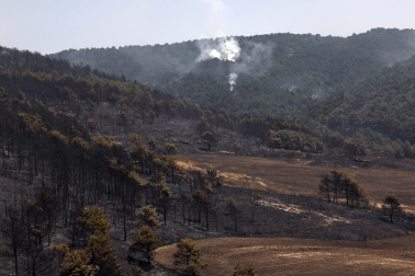 INCENDIO EZCABARTE EFE