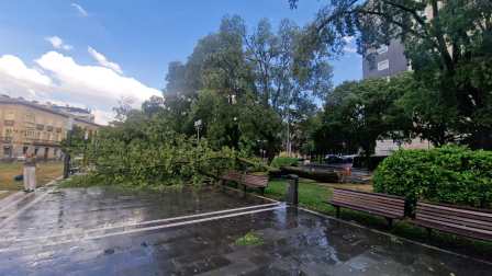 La tormenta y el viento han causado algunas incidencias leves en Pamplona