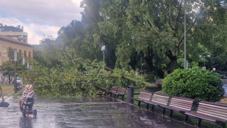 La tormenta y el viento han causado algunas incidencias leves en Pamplona