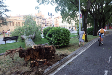 Fotos de la tormenta de este sábado por la tarde en Pamplona