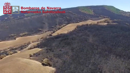 Imagen aérea del incendio forestal tomada este domingo