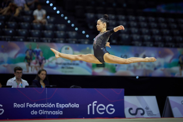 Gimnasia Artística