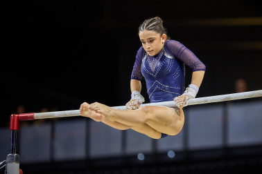 Gimnasia Artística