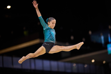 Gimnasia Artística
