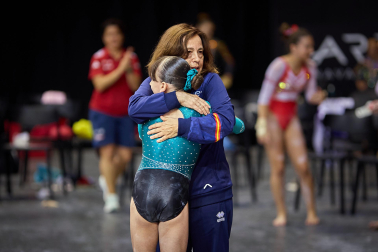 Gimnasia Artística