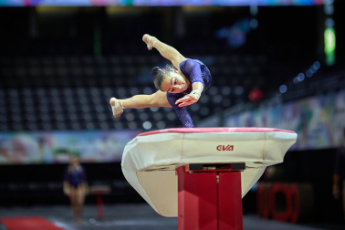 Gimnasia Artística