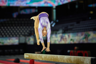 Gimnasia Artística