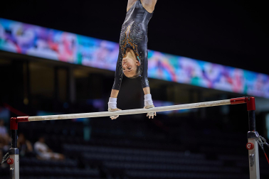 Gimnasia Artística