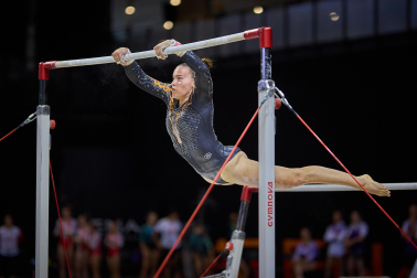 Gimnasia Artística