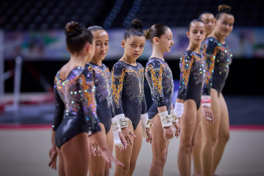 Gimnasia Artística
