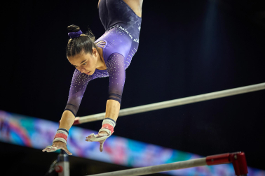 Gimnasia Artística