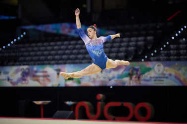 Gimnasia Artística