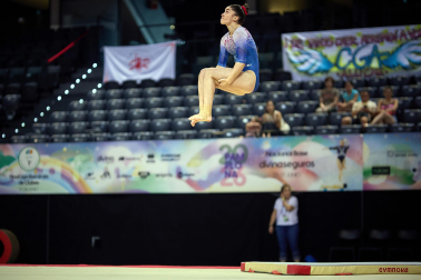 Gimnasia Artística